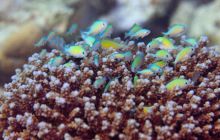 Safari St'Johns - 27 kwiecień 2012