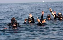 Safari St'Johns - 27 kwiecień 2012