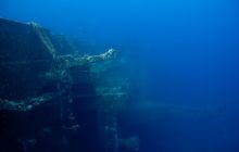 Safari St'Johns - 27 kwiecień 2012