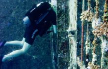 Safari St'Johns - 27 kwiecień 2012