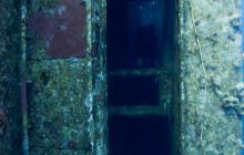 Safari St'Johns - 27 kwiecień 2012