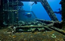 Safari St'Johns - 27 kwiecień 2012