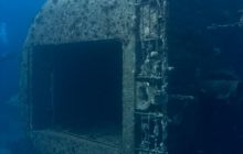 Safari St'Johns - 27 kwiecień 2012