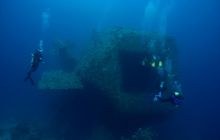 Safari St'Johns - 27 kwiecień 2012