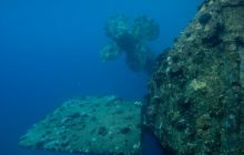 Safari St'Johns - 27 kwiecień 2012