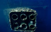 Safari St'Johns - 27 kwiecień 2012