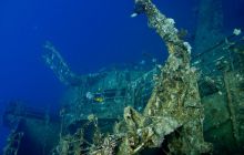 Safari St'Johns - 27 kwiecień 2012