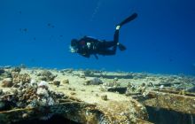 Safari St'Johns - 27 kwiecień 2012