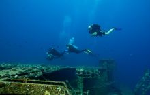 Safari St'Johns - 27 kwiecień 2012