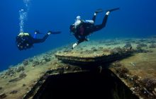 Safari St'Johns - 27 kwiecień 2012