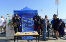 Zdjęcia z Diving Day Molo w Brzeźnie