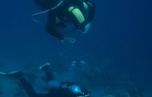 Egipt Dahab - Grudzień 2007