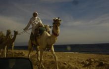 Egipt Dahab - Grudzień 2007