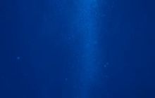 Egipt Dahab - Grudzień 2007