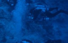 Egipt Dahab - Grudzień 2007