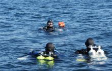 Zdjęcia z wyjazdu Bergen - 2 czerwiec 2012