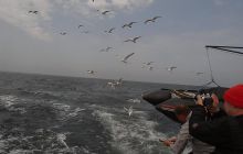 Safari Wrakowe - Heweliusz i Bornholm