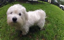 Zdjęcia z ostatniego weekendu w Kłodnie 7-8 lipca