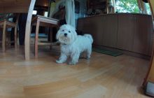 Zdjęcia z ostatniego weekendu w Kłodnie 7-8 lipca