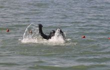 zdjęcia z kursu Rescue