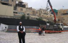 Egipt Sharm - sierpień 2008