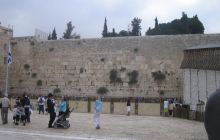 Egipt Sharm - sierpień 2008