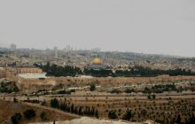 Egipt Sharm - sierpień 2008