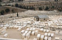 Egipt Sharm - sierpień 2008