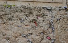 Egipt Sharm - sierpień 2008