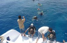 Egipt Sharm - sierpień 2008