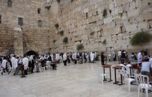 Egipt Sharm - sierpień 2008