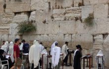 Egipt Sharm - sierpień 2008