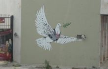 Egipt Sharm - sierpień 2008