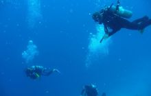 Egipt Sharm - sierpień 2008