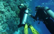 Egipt Sharm - sierpień 2008