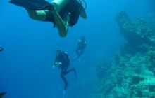 Egipt Sharm - sierpień 2008