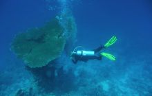 Egipt Sharm - sierpień 2008