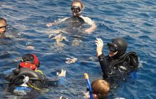 Egipt Sharm - sierpień 2008