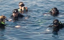 Egipt Sharm - sierpień 2008