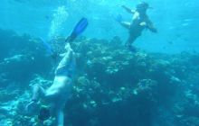 Egipt Sharm - sierpień 2008