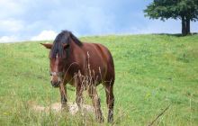 Zdjęcia z nad Hańczy 