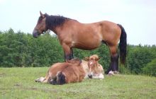 Zdjęcia z nad Hańczy 