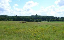 Zdjęcia z nad Hańczy 