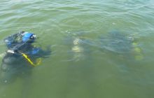 Zdjęcia z kursu OWD sierpień 2012