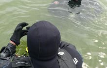 Zdjęcia z kursu OWD sierpień 2012