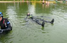 Zdjęcia z kursu OWD sierpień 2012