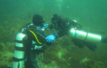 Zdjęcia z Lofotów - sierpień 2012