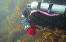 Zdjęcia z Lofotów - sierpień 2012