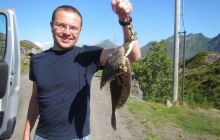 Zdjęcia z Lofotów - sierpień 2012