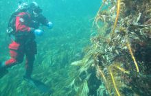 Zdjęcia z Lofotów - sierpień 2012